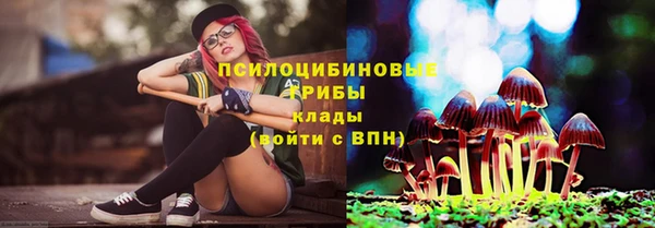 спайс Алзамай